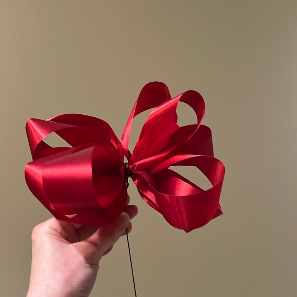 💝 10/$10 💝Crafting Red Ribbon with Green Wire